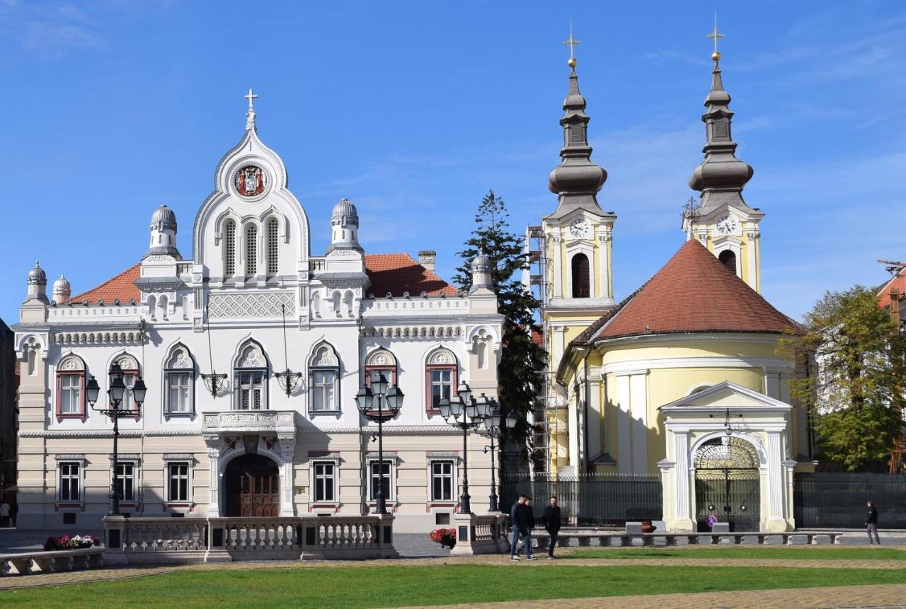 Ole Apartment - Get Your Energy For Free! Coffee And Tea On The House Тімішоара Екстер'єр фото