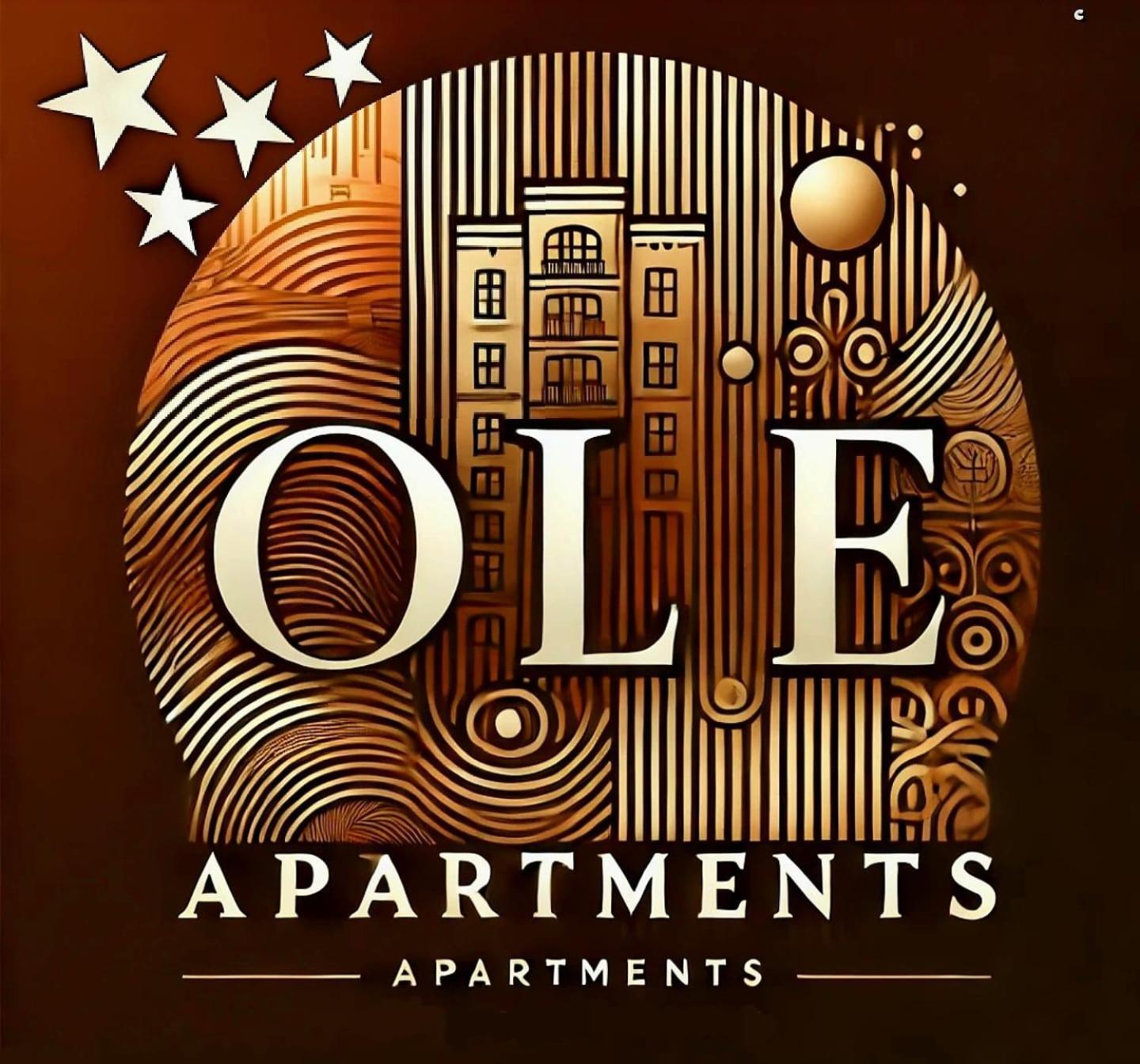 Ole Apartment - Get Your Energy For Free! Coffee And Tea On The House Тімішоара Екстер'єр фото